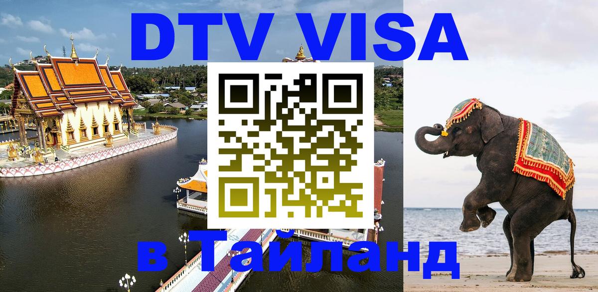 Оформление DTV визы под ключ: стоимость и тарифы, только загранпаспорт - 18.11.2025 